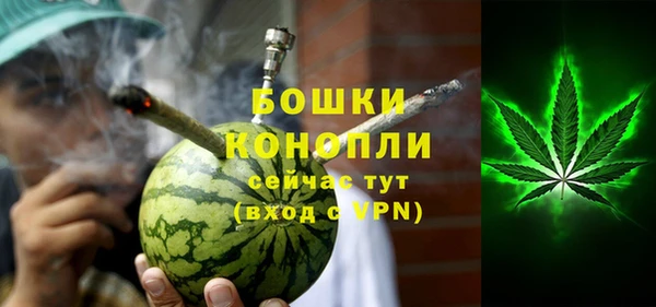 индика Пестово