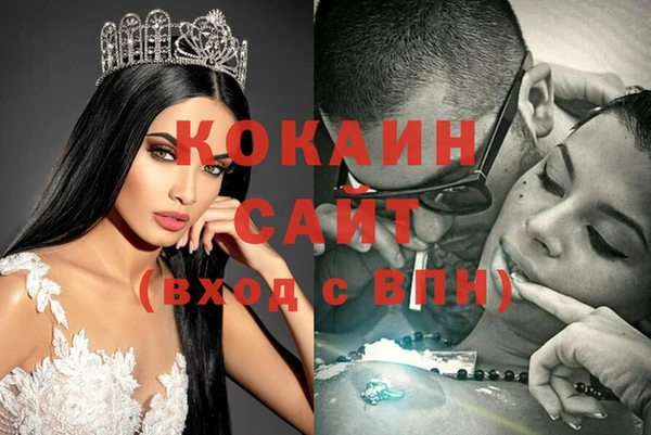 индика Пестово
