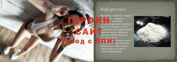 индика Пестово