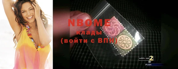 индика Пестово