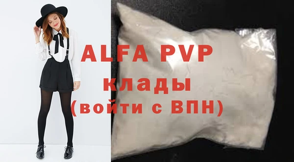 индика Пестово