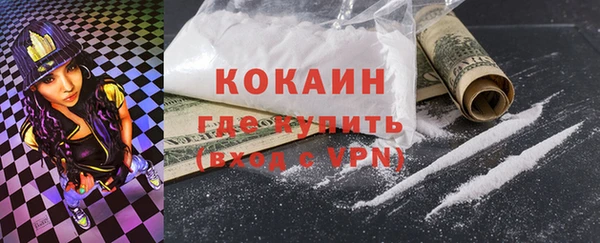 индика Пестово