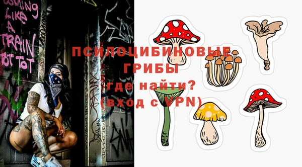 скорость Пересвет