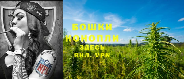 индика Пестово