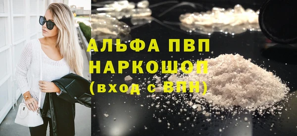 индика Пестово