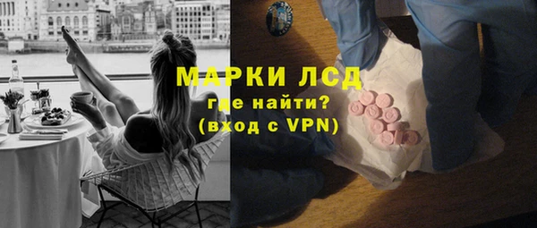 индика Пестово
