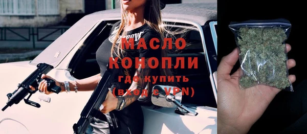 индика Пестово