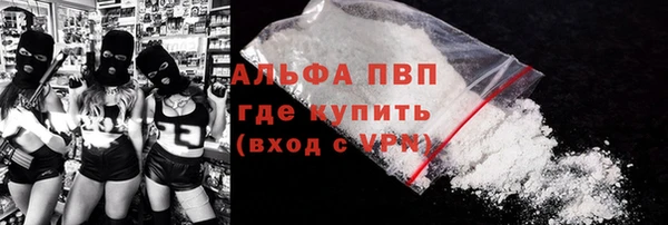 индика Пестово