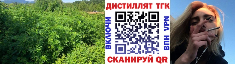 Купить закладки Вологда ТГК вейп с тгк