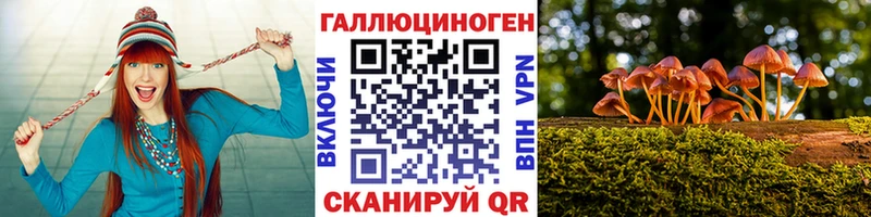 Псилоцибиновые грибы прущие грибы  Купить где  Вологда 