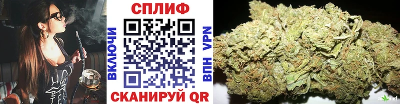 Конопля White Widow Купить Вологда